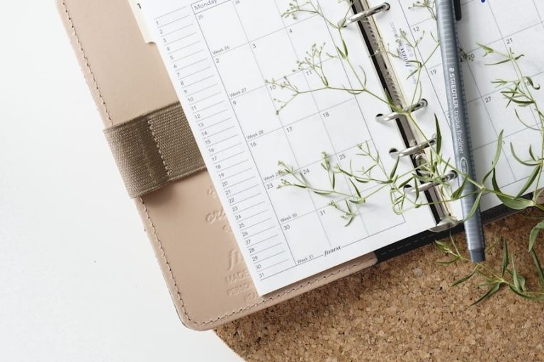 Ein geöffneter Planer mit einer Pflanze und einem Stift auf einem Korkboard.